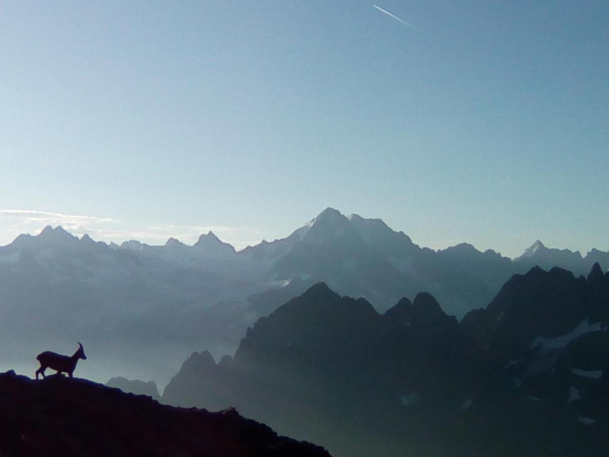 Apartment Le Chamoniard Chamonix